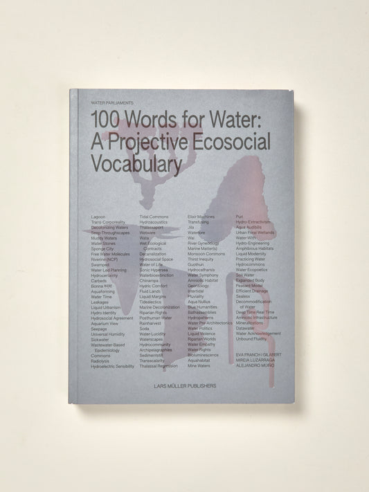 100 Words for Water: A Projective Ecosocial Vocabulary