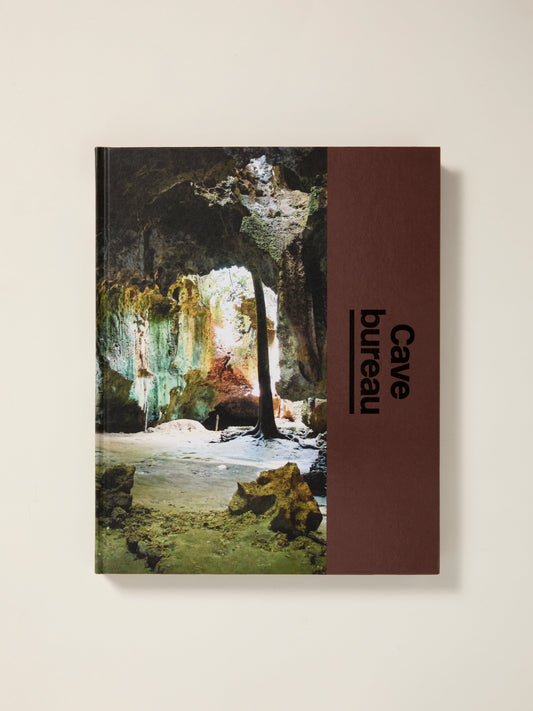 Cave bureau: The Architect's Studio