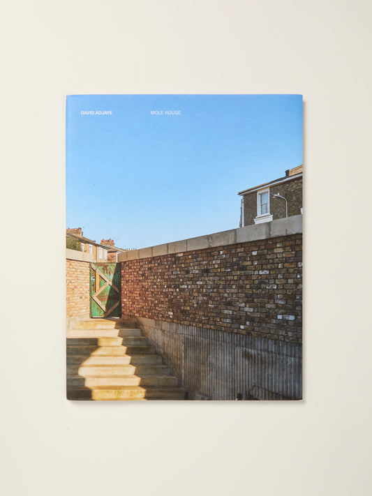 David Adjaye Mole House