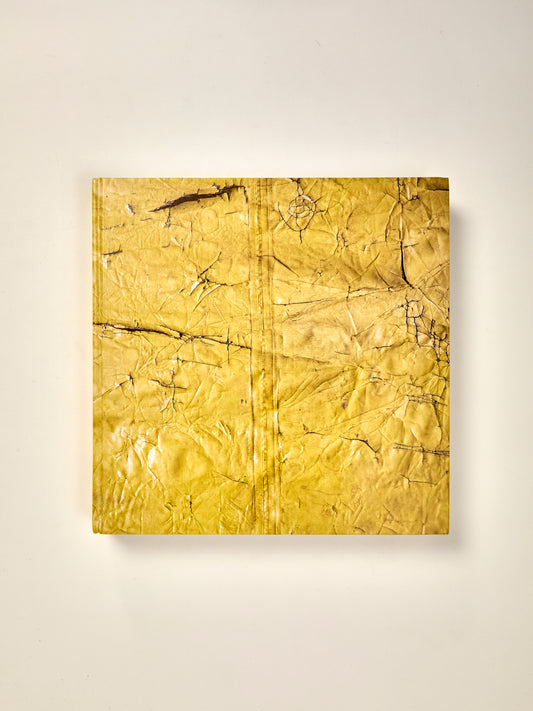 David Hammons