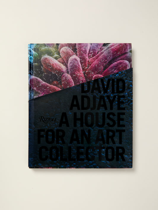A House for an Art Collector