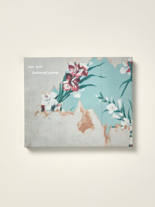 Gathered Leaves Postcard Set