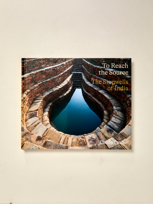 To Reach the Source: The Stepwells of India