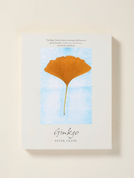 Ginkgo: The Tree That Time Forgot