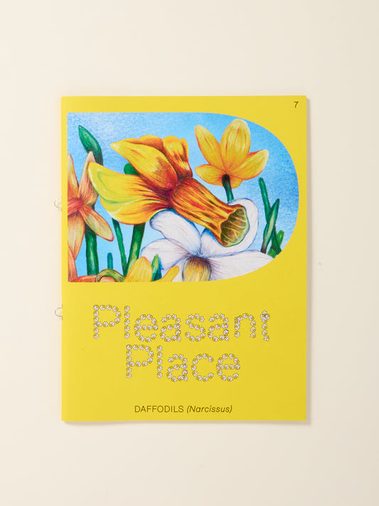Pleasant Place 7: Daffodils (Narcissus)