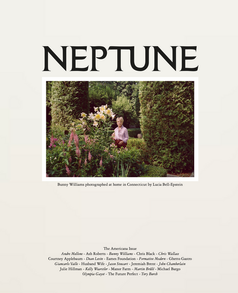 Neptune Papers: Issue Seven