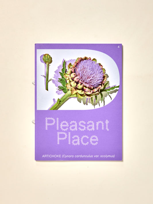Pleasant Place 4: Artichoke