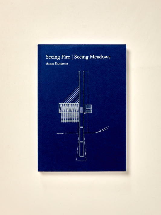 Seeing Fire | Seeing Meadows