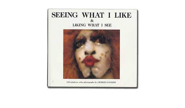 Seeing What I Like & Liking What I See