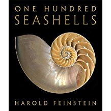 One Hundred Seashells Harold Feinstein