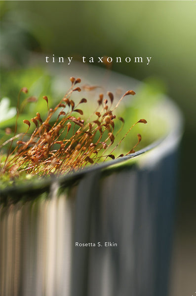 Tiny Taxonomy:  Individual Plants in Landscape Architecture