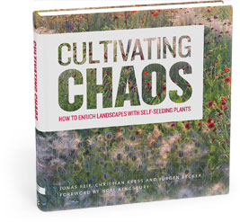 Cultivating Chaos: How to Enrich Landscapes with Self-Seeding Plants