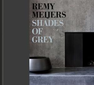 Shades of Grey: Remy Meijers
