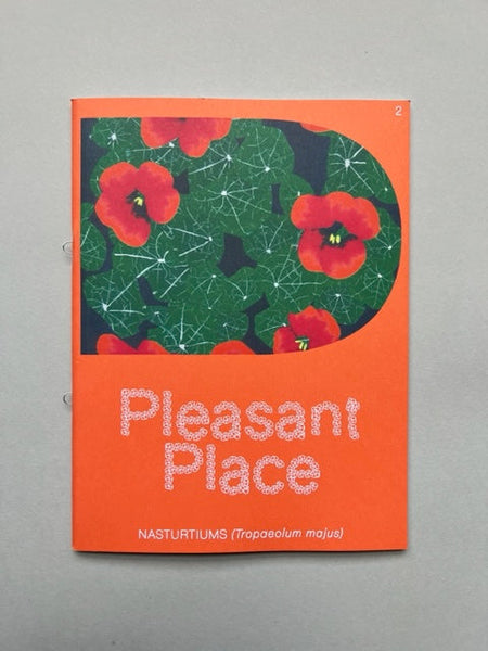 Pleasant Place No.2: Nasturtiums